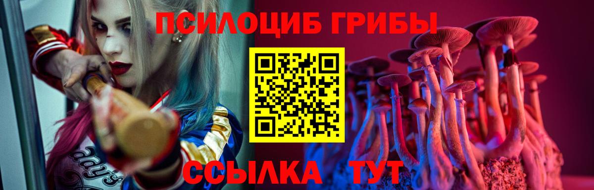 Псилоцибиновые грибы Cubensis  Псилоцибиновые грибы Psilocybine cubensis  Ефремов  Вход с VPN 
